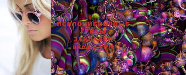 прущая мука Алексин