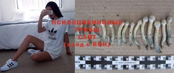 бутират Пестово