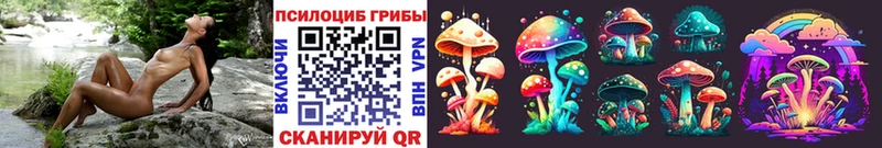 ОМГ ОМГ ТОР  Аша  Галлюциногенные грибы Psilocybine cubensis  купить закладку 